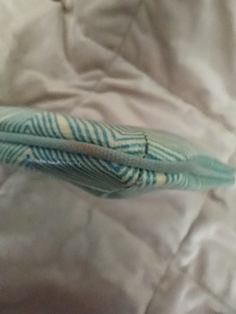 🗝️ Fossil - Picture 8 of 15